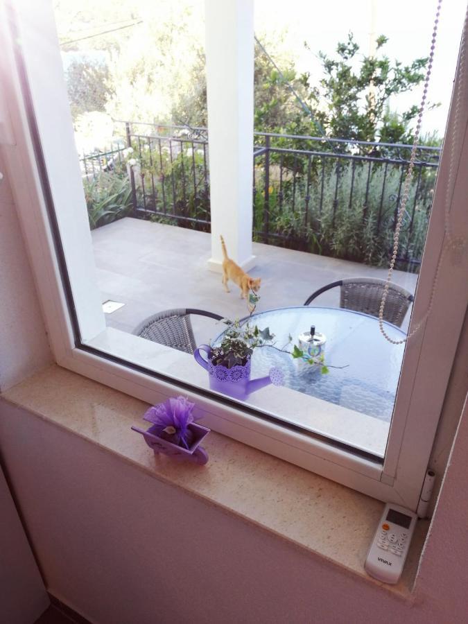 Apartmani Skalinada Marina Εξωτερικό φωτογραφία